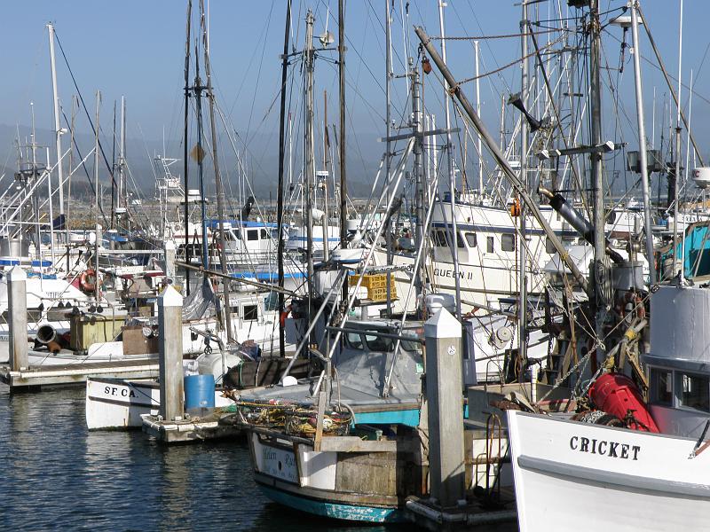 P6182018 Princeton Harbor.jpg